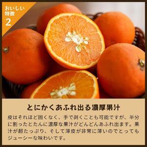 セミノール（みかん）5kg家庭用｜和歌山県海南市下津町で育てた高級オレンジを産地直送でお届け【2026年4月発送開始】