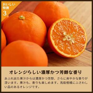 セミノール（みかん）5kg家庭用｜和歌山県海南市下津町で育てた高級オレンジを産地直送でお届け【2026年4月発送開始】