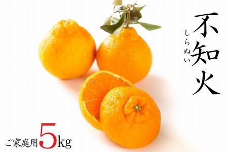 不知火約5kg 15～24玉入り 《ご家庭用》 訳あり 和歌山県産 農園直送 まごころ産直みかん【北海道・沖縄県・離島配送不可】みかん 柑橘 しらぬい デコポンと同じ品種  ［Mg54］