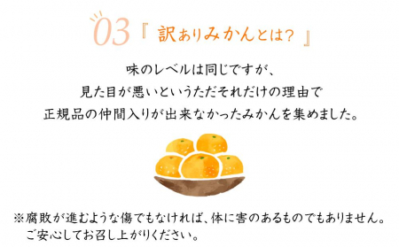 早生みかん 約6.5kg 大小混合 《ご家庭用》ちょっと訳あり 和歌山県より農園直送！まごころ産直みかん 【北海道・沖縄県・一部離島 配送不可】混合サイズ ミカン 蜜柑 温州みかん わけあり 訳アリ【mg3】