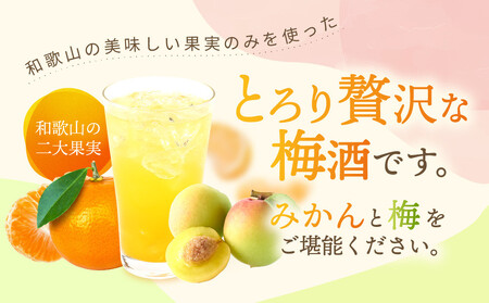 紀州のイチゴ梅酒  720ml・完熟みかん梅酒 720ml  セット