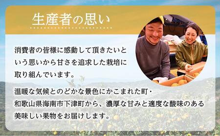 ［先行予約］蔵出しみかん　家庭用　サイズ混合　5kg　（和歌山県　海南市下津町　農園直送）