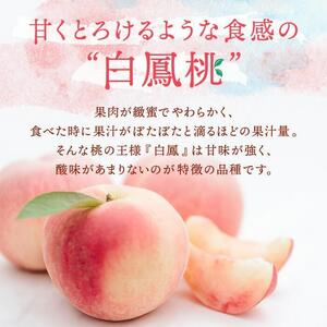 和歌山県産 白鳳 桃 5～8玉入り 秀品 先行予約【2025年6月下旬以降発送】【MG6】