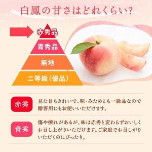 和歌山県産 白鳳 桃 11～15玉入り秀品［2026年6月下旬以降発送］［MG90］