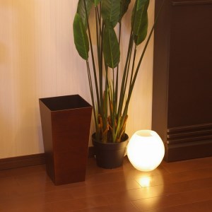 タツクラフト ユーロスタイルBOX L角 9.5L（木目）