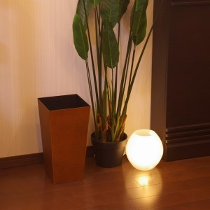 タツクラフト ユーロスタイルBOX L角 9.5L（木目）