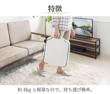 マッサージ器 セシル ブラック 58302