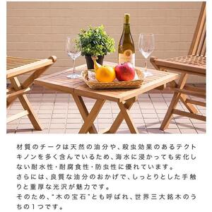 チークチェア2脚組折りたたみ式 AKU1008203