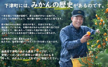 みかんジュース 和歌山県みかん100％ストレート みかんジュース