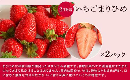 【全3回】和歌山厳選フルーツ定期便( いちご 桃 シャインマスカット )【MG16】