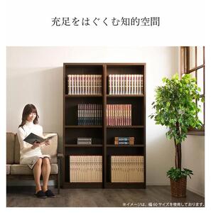 強化シェルフ 60-180 sb40227