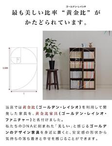 【完成品】スライド本棚 W575 ウォールナット AKU101193103