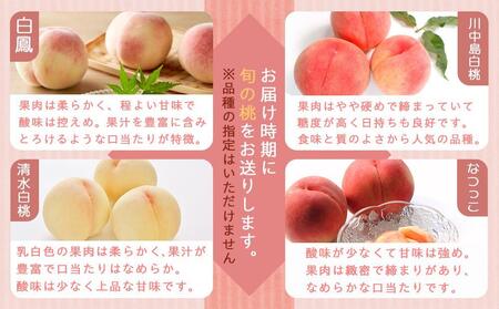 和歌山県産 桃 秀品 6～9玉 約2kg［NY7］