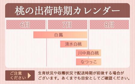 和歌山県産 桃 秀品 6～9玉 約2kg［NY7］