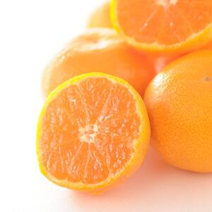 蔵出しみかん 和歌山県海南市下津町産 3kg S・M・Lサイズ 海南市鈴木農園