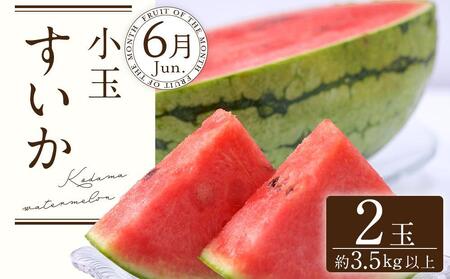 定期便全3回 和歌山の人気の夏のフルーツをお届け！ ［TM204］