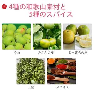 IKORA-行楽- 215g 飲料 ドリンク 食品