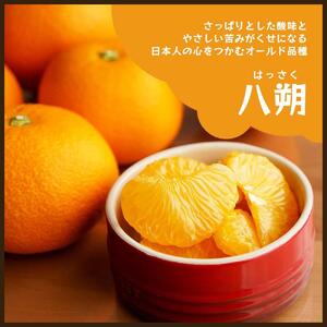 八朔|和歌山県海南市から産地直送でお届け|4kg|ご家庭用【2026年4月より発送開始】