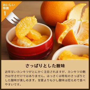 八朔|和歌山県海南市から産地直送でお届け|4kg|ご家庭用【2026年4月より発送開始】