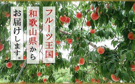 和歌山県産 白鳳 桃 8-13玉入り ご家庭用 青秀【2024年6月下旬より順次