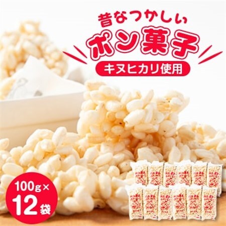 昔なつかしい　ポン菓子(100g×12袋)_菓子・スイーツ 和菓子  _【1143588】