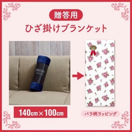 贈答用 ひざ掛け ブランケット 綿毛布 ハーフサイズ 綿100% 紺_雑貨・日用品 毛布 寝具 _【1261814】