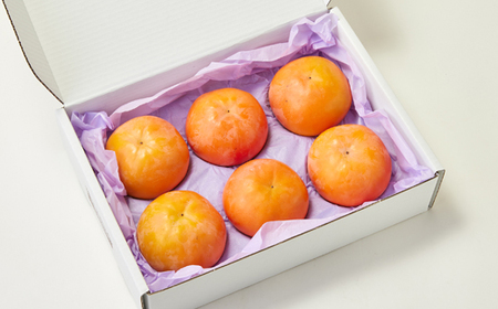 【先行予約】匠果樹園 富有柿【秀品】白紫箱 2Lまたは3Lサイズ【2026年11月~12月発送】_果物・フルーツ 柿(カキ) かき_【1473510】