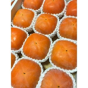 【2026年10月以降発送】あさみ農園の紀の川柿 11~15個_果物・フルーツ 柿(カキ) かき_【1073823】