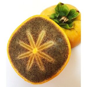 【2026年10月以降発送】あさみ農園の紀の川柿 11~15個_果物・フルーツ 柿(カキ) かき_【1073823】