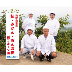 【先行受付】柳フルーツ園の富有柿_果物・フルーツ 柿（カキ）  かき_【1362150】