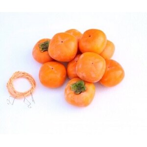 【先行予約】干し柿セット 約5kg【2026年秋冬配送】柳フルーツ園_果物・フルーツ 柿（カキ）  かき_【1457269】