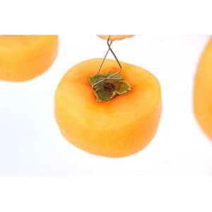 【先行予約】干し柿セット 約5kg【2026年秋冬配送】柳フルーツ園_果物・フルーツ 柿（カキ）  かき_【1457269】