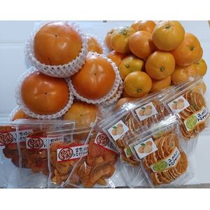 柳フルーツ園からの贈り物 Cセット_果物・フルーツ みかん  ミカン 蜜柑  果物・フルーツ 柿（カキ）  かき  果物・フルーツ 干し柿 ドライフルーツ ほしがき ホシガキ  果物・フルーツ  ドライフルーツ _【1457297】