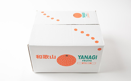 【先行予約】訳あり富有柿 約5kg　柳フルーツ園　2026年10月以降配送_果物・フルーツ 柿（カキ）  かき_【1456567】