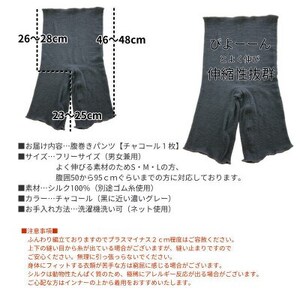 シルク100%腹巻きパンツ【チャコール1枚】_装飾品・工芸品 服飾小物 _【1490114】