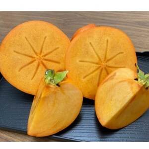 【先行受付　2026年11月以降順次発送】紀州てまり　4Lサイズ_果物・フルーツ 柿（カキ）  かき_【1508724】