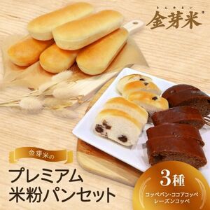【結Musubi】金芽米のプレミアム米粉パンセット　グルテンフリー　金の米粉パンシリーズ_ パン  ぱん_【配送不可地域：離島】【1519425】