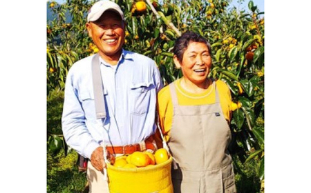 【2026年秋より順次発送】旬のたねなし柿 特選2Lサイズ(15個入り)_果物・フルーツ 柿(カキ) かき_【配送不可地域:離島・北海道・沖縄県】【1512962】