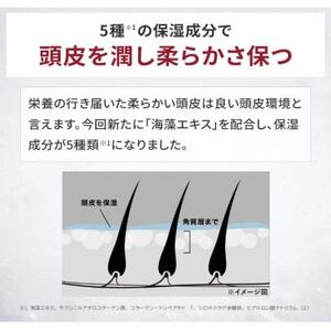 スカルプD　薬用スカルプパックコンディショナー|コンディショナー メンズ 薬用 ヘアケア_アンファーシャンプー 育毛シャンプー 薬用シャンプー_【1532547】