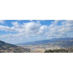 【先行受付】和歌山県産(刀根早生)贈答用3kg_果物・フルーツ 柿（カキ）  かき_【1522422】