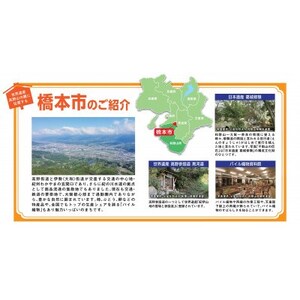 【返礼品なし】和歌山県橋本市への応援寄附金(30,000円分)