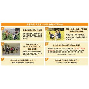 【返礼品なし】和歌山県橋本市への応援寄附金(30,000円分)