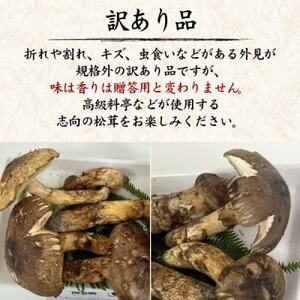 訳あり　国産　天然高野松茸　約180g【配送不可地域：離島・北海道・沖縄県】【1639364】