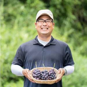 【2026年夏発送】お試しサイズ約1kg 梅田農園の種無し巨峰 来季分先行受付【配送不可地域:離島】【1642883】