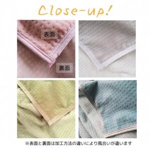 あったかボリューム毛布「ぽかぽか日和」ローズ【1634948】