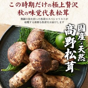 国産 天然高野松茸 約180g 冷凍【配送不可地域:離島】【1690867】