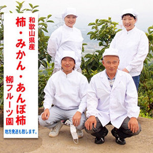 【先行受付】柳フルーツ園の訳あり富有柿　5kg_果物・フルーツ 柿（カキ）  かき_【1077827】