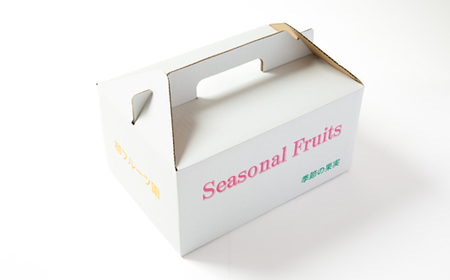 ≪柳フルーツ園≫みかんのドライフルーツ　8袋_果物・フルーツ  ドライフルーツ _【1141675】