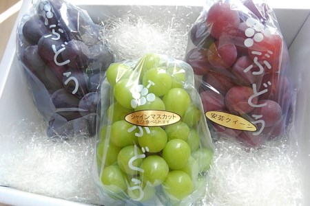 【2021年夏発送】小林農園 朝採りぶどう詰め合わせ(約1.5kg、巨峰・シャインマスカット・安芸クイーン・クイーンニーナより2~3品種)