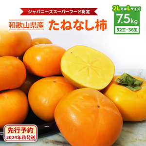柿　たねなし柿 約7.5kg(32～36個、L～2Lサイズ)　和歌山のたねなし柿【2022年秋発送：JA紀北かわかみ】